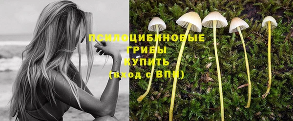 кристаллы Гусь-Хрустальный