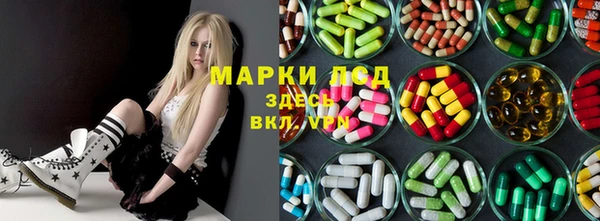 ALPHA PVP Гусев