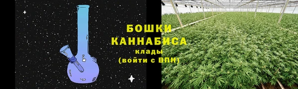 ALPHA PVP Гусев