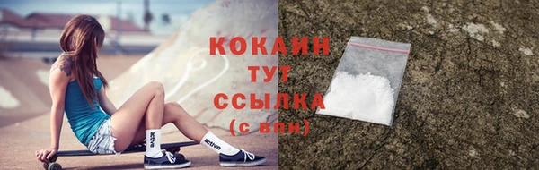 ALPHA PVP Гусев