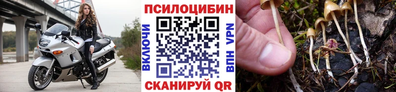 Псилоцибиновые грибы Magic Shrooms  Москва 